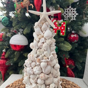 May include: A decorative Christmas tree made of various seashells, topped with a white starfish. The tree is set against a backdrop of a decorated Christmas tree with ornaments in red, green, and white.