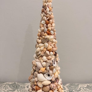 May include: A conical sculpture constructed from a dense arrangement of various seashells in shades of white, cream, tan, and brown. The shells are layered to form a pointed, tree-like shape, featuring diverse textures, spiral patterns, and sizes.