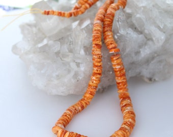 ORANGE SPINY OYSTER Beads Graduated Buttons 5-10mm 17"