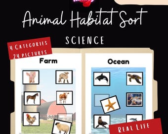FILE FOLDER Activity | Science | Sorting Animals By Habitat | Special Education | Printable PDF