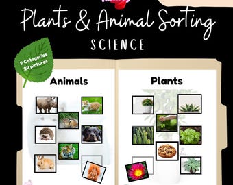 DATEI-ORDNER Aktivität | Wissenschaft | Sortierung Pflanzen & Tiere | Sonderpädagogik | Lebensweisheiten | Druckbares PDF