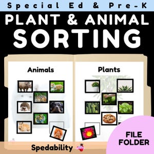 May include: A beige file folder educational activity titled Special Ed & Pre-K PLANT & ANIMAL SORTING. The left side features animal photos including a rhino, cat, chipmunk, hedgehog, dog, tiger, rabbit, and squirrel. The right side shows plant photos.