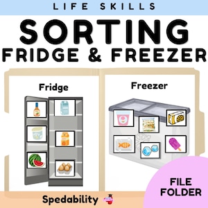 Puede incluir: Una carpeta educativa titulada LIFE SKILLS SORTING FRIDGE & FREEZER. El lado izquierdo muestra un refrigerador con imágenes de leche, jugo, huevos y fruta. El lado derecho muestra un congelador con imágenes de helado, pescado y cubitos de hielo.