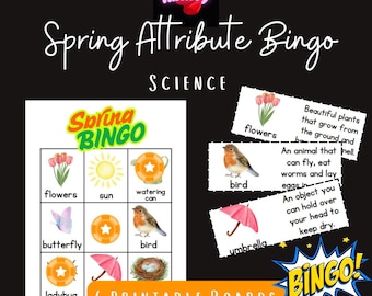Spring Attribute Bingo | Printable Educational Game with Symbolated Boards | Science | Learn Describing Words for Kids | Language PDF