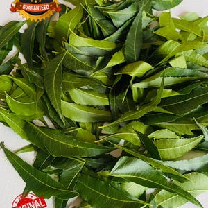 Neem leaves pack, 200+Natural Jamaican Neem Leaves Cut , Dried Azedarach Indica, Wildcraft  Authentic Organic Flavor