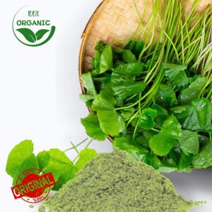 Centella asiatica Gotu Kola Leaf Powder, 100% Organic Herbal Tea,  No Additives, Pesticides, or Chemicals