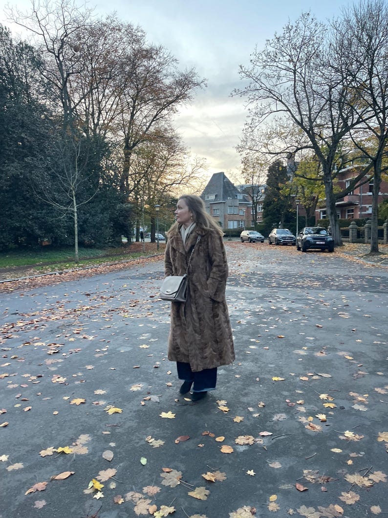 Pu&ograve; includere: Una donna indossa un lungo cappotto di pelliccia marrone, pantaloni blu scuro e scarpe nere, in piedi su una strada coperta di foglie. Porta una borsa grigia. Lo sfondo mostra alberi, edifici e un cielo nuvoloso.