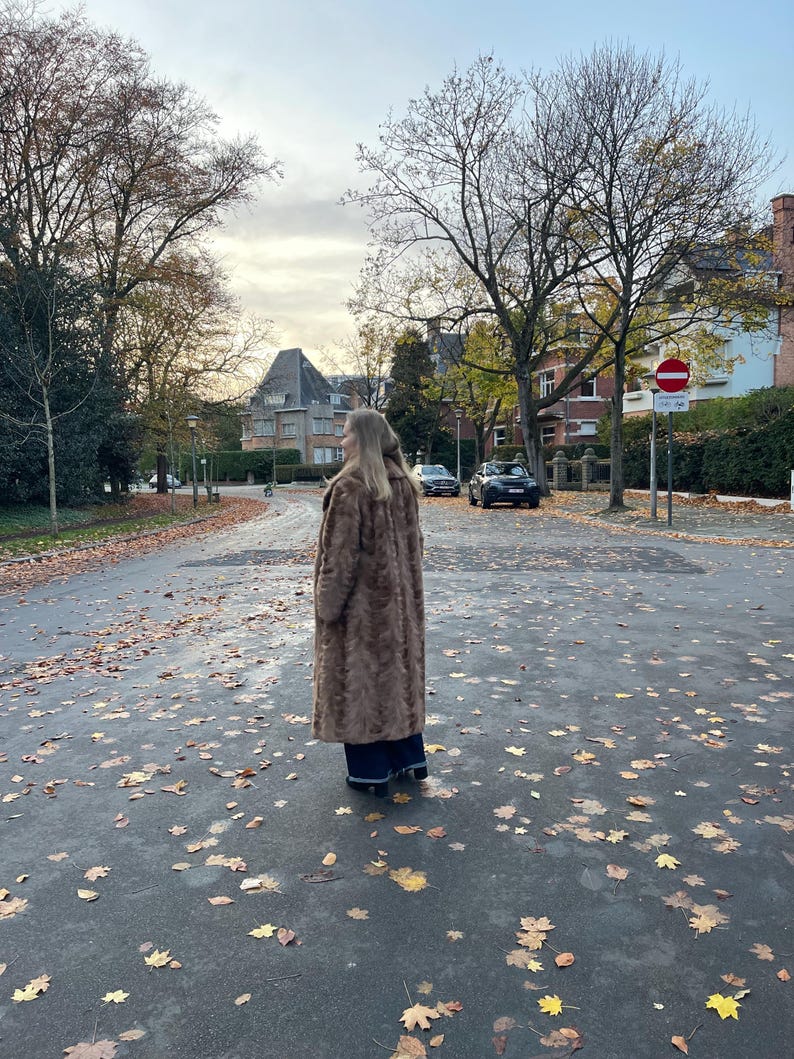 Pu&ograve; includere: Un lungo cappotto in finta pelliccia marrone. Il cappotto &egrave; indossato da una persona in piedi su una strada coperta di foglie. Lo sfondo comprende alberi, edifici e un cielo nuvoloso. Il cappotto sembra essere lungo fino al ginocchio.