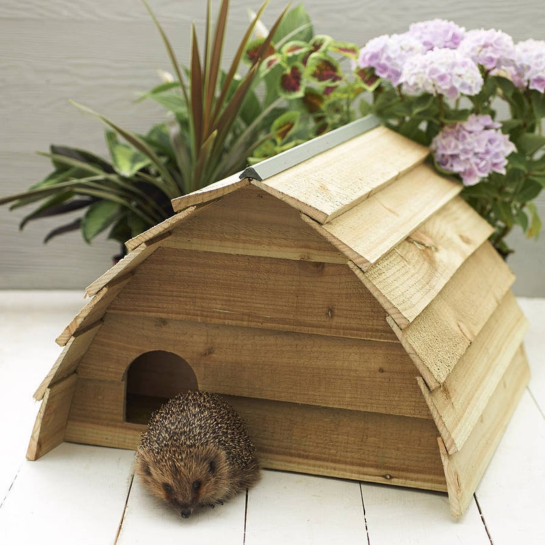 Handmade wooden hedgehog house. Keeps them safe from cats, dogs and foxes.
The hedgehog house is aprox 65cm long, 55cm wide and 50cm high.