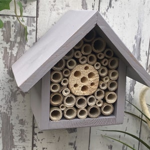 Beautifully handmade single tier wildlife habitat, Bee Hotel, Insect House. Timber and painted in Forest Mushroom.
Keyhole hanger provided.
Bamboo and drilled holes provide a perfect home for solitary bees.