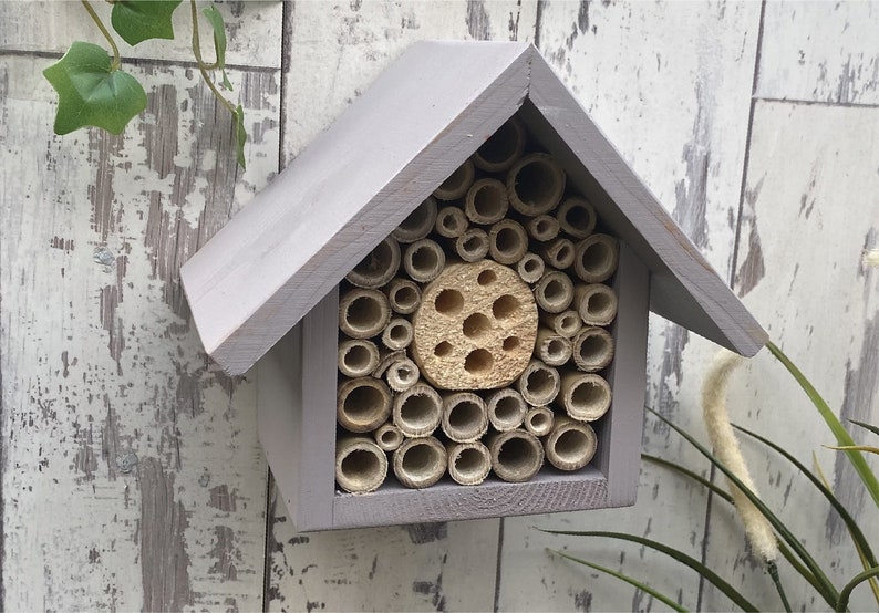 Beautifully handmade single tier wildlife habitat, Bee Hotel, Insect House. Timber and painted in Forest Mushroom.
Keyhole hanger provided.
Bamboo and drilled holes provide a perfect home for solitary bees.