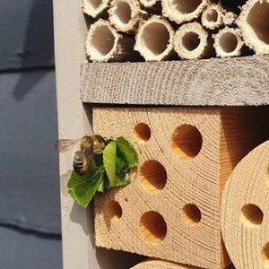 Mothers Day Gift, Mason Bee House, Bee Hotel, Wildlife House, Solitary Bee Hotel, in 'Wild Thyme'. Can be personalised. FREE DELIVERY image 6