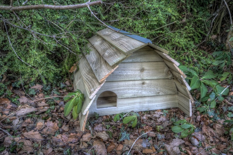 Deluxe Hedgehog House, A Fathers Day gift. FREE DELIVERY image 6