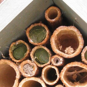 Bee Hotel, Insect House, Wildlife House, in Sunny Lime. Single Tier. Can be personalised. FREE DELIVERY image 5