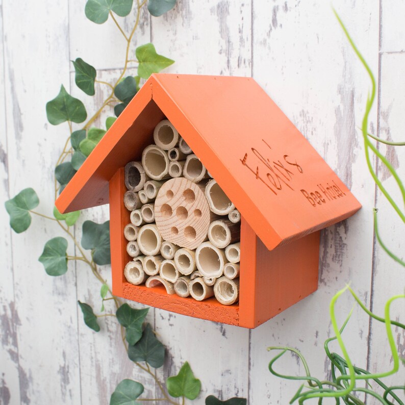 an engraved honey mango bee hotel