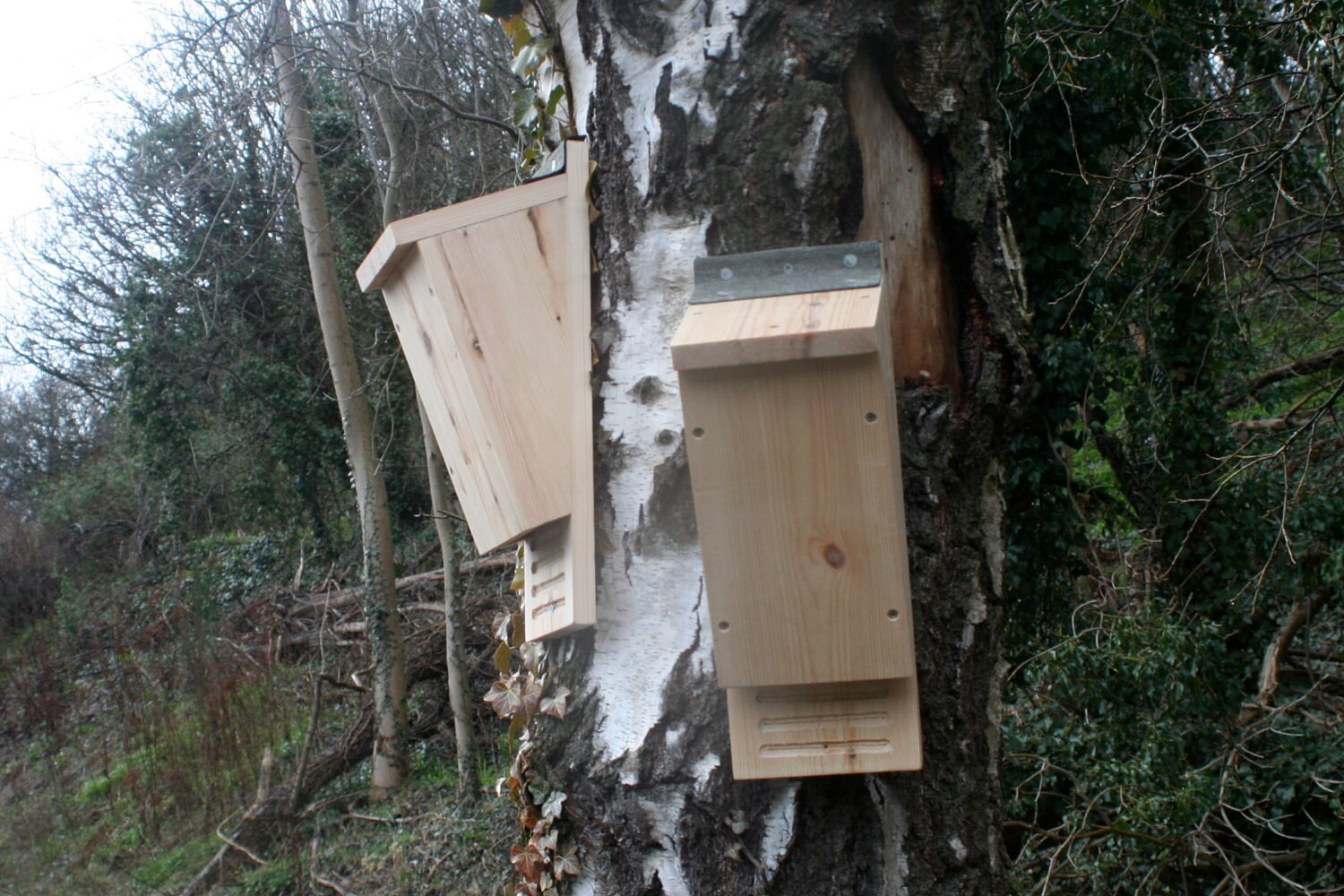 Build your own Bat Box Kit Etsy