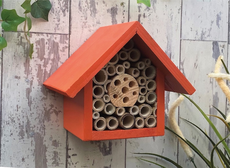 Beautifully handmade single tier wildlife habitat, Bee Hotel, Insect House. Timber and painted in Honey Mango.
Keyhole hanger provided.
Bamboo and drilled holes provide a perfect home for solitary bees.