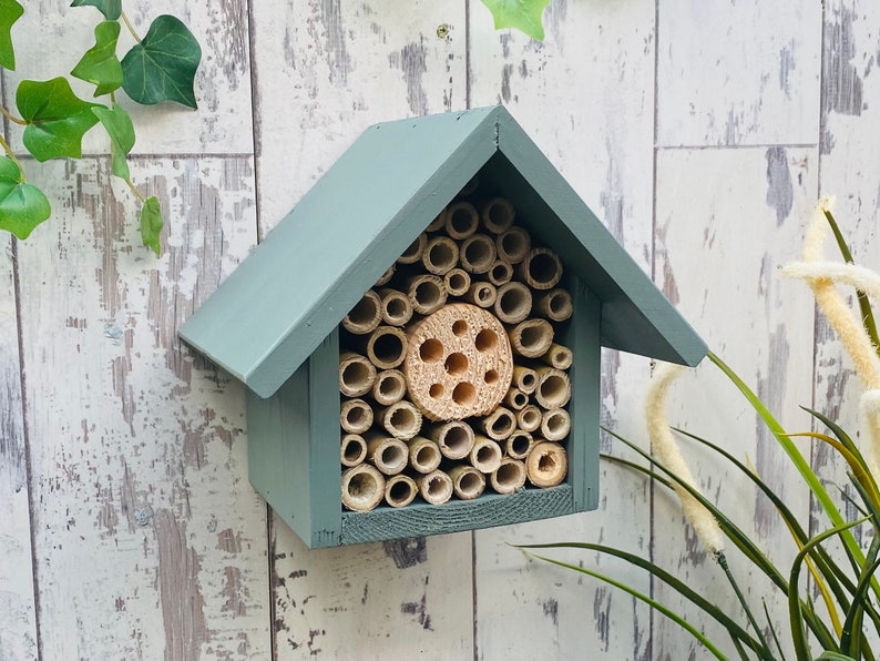 Beautifully handmade wildlife habitat, Bee Hotel, Insect House. Timber and painted in wild thyme, light green. Single Tier.
Keyhole hanger provided.
Bamboo and drilled holes provide a perfect home for solitary bees.