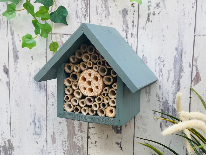 Beautifully handmade wildlife habitat, Bee Hotel, Insect House. Timber and painted in wild thyme, light green. Single Tier.
Keyhole hanger provided.
Bamboo and drilled holes provide a perfect home for solitary bees.