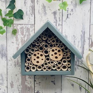 Beautifully handmade large single tier wildlife habitat, Bee Hotel, Insect House. Timber and painted in wild thyme, light green.
Keyhole hanger provided.
Bamboo and drilled holes provide a perfect home for solitary bees.