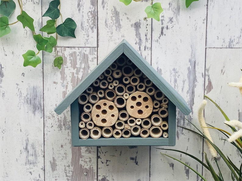 Beautifully handmade large single tier wildlife habitat, Bee Hotel, Insect House. Timber and painted in wild thyme, light green.
Keyhole hanger provided.
Bamboo and drilled holes provide a perfect home for solitary bees.