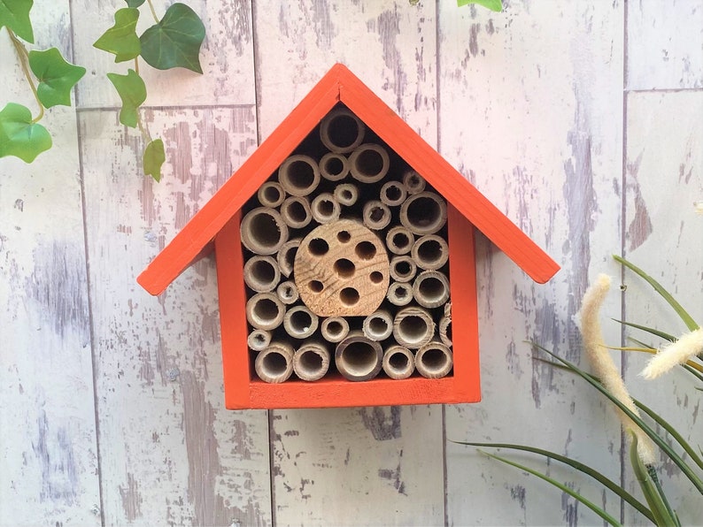 Beautifully handmade single tier wildlife habitat, Bee Hotel, Insect House. Timber and painted in Honey Mango.
Keyhole hanger provided.
Bamboo and drilled holes provide a perfect home for solitary bees.