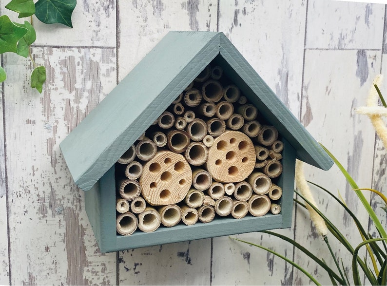 Beautifully handmade large single tier wildlife habitat, Bee Hotel, Insect House. Timber and painted in wild thyme, light green.
Keyhole hanger provided.
Bamboo and drilled holes provide a perfect home for solitary bees.
