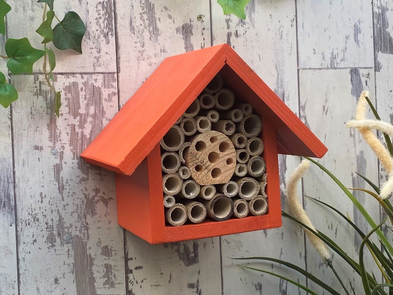 Beautifully handmade single tier wildlife habitat, Bee Hotel, Insect House. Timber and painted in Honey Mango.
Keyhole hanger provided.
Bamboo and drilled holes provide a perfect home for solitary bees.