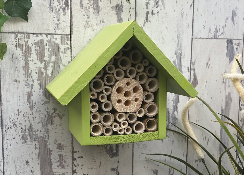 Beautifully handmade single tier wildlife habitat, Bee Hotel, Insect House. Timber and painted in Sunny Lime.
Keyhole hanger provided.
Bamboo and drilled holes provide a perfect home for solitary bees.