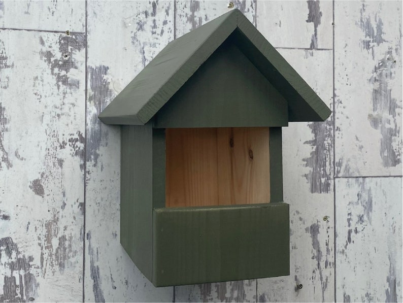 Robin or Wren Box. Old English. Can be Personalised. FREE DELIVERY image 2