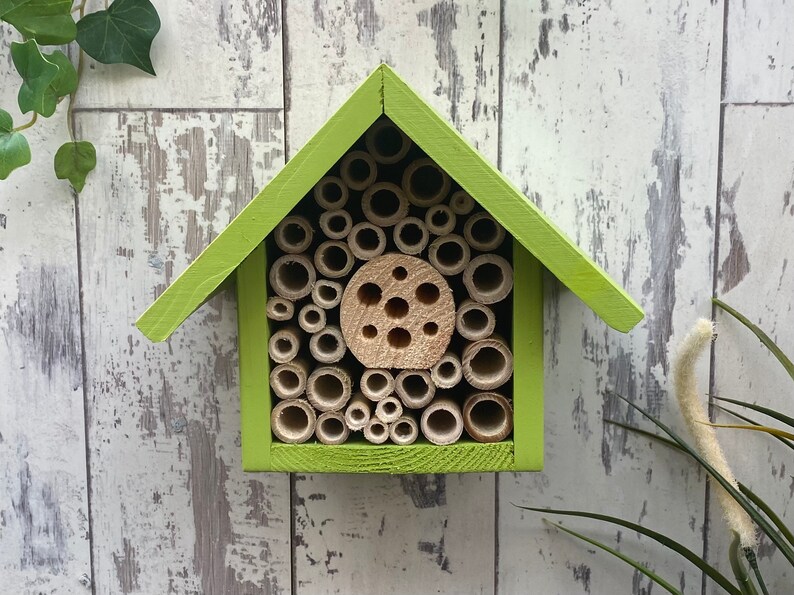 Beautifully handmade single tier wildlife habitat, Bee Hotel, Insect House. Timber and painted in Sunny Lime.
Keyhole hanger provided.
Bamboo and drilled holes provide a perfect home for solitary bees.