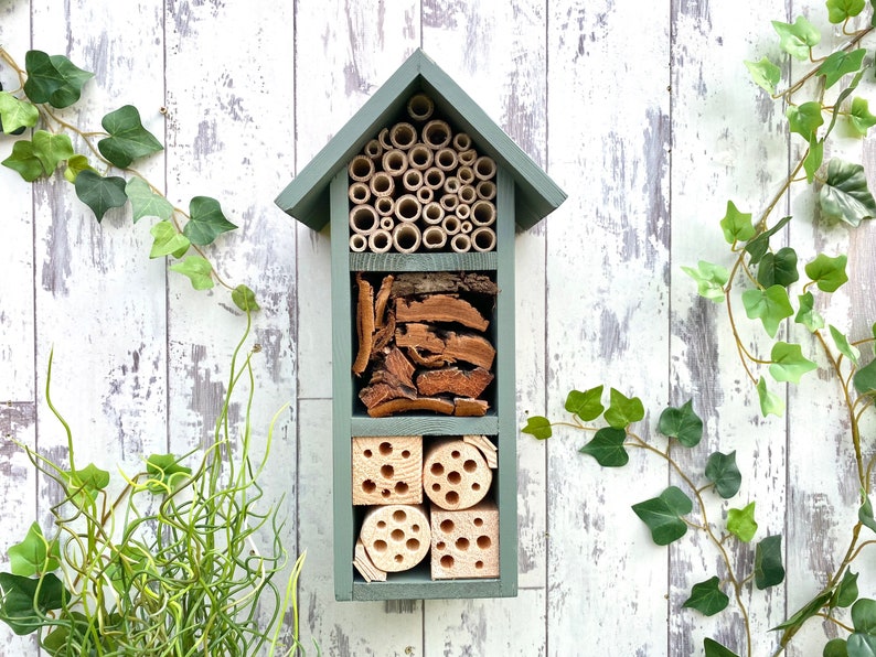 Beautifully handmade wildlife habitat, Bee Hotel, Insect House. Timber and painted in Wild Thyme, light green. Three tier
Keyhole hanger provided.
Bamboo and drilled holes provide a perfect home for solitary bees.