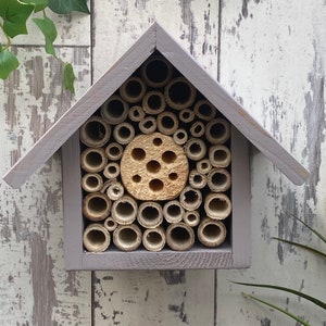 Beautifully handmade single tier wildlife habitat, Bee Hotel, Insect House. Timber and painted in Forest Mushroom.
Keyhole hanger provided.
Bamboo and drilled holes provide a perfect home for solitary bees.