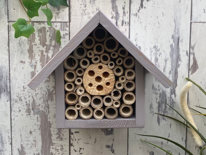 Beautifully handmade single tier wildlife habitat, Bee Hotel, Insect House. Timber and painted in Forest Mushroom.
Keyhole hanger provided.
Bamboo and drilled holes provide a perfect home for solitary bees.