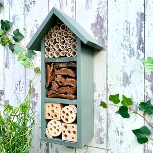 Beautifully handmade wildlife habitat, Bee Hotel, Insect House. Timber and painted in Wild Thyme, light green. Three tier.
Keyhole hanger provided.
Bamboo and drilled holes provide a perfect home for solitary bees.