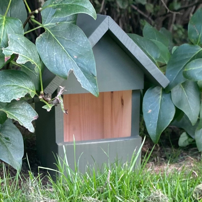 Robin or Wren Box. Old English. Can be Personalised. FREE DELIVERY image 3