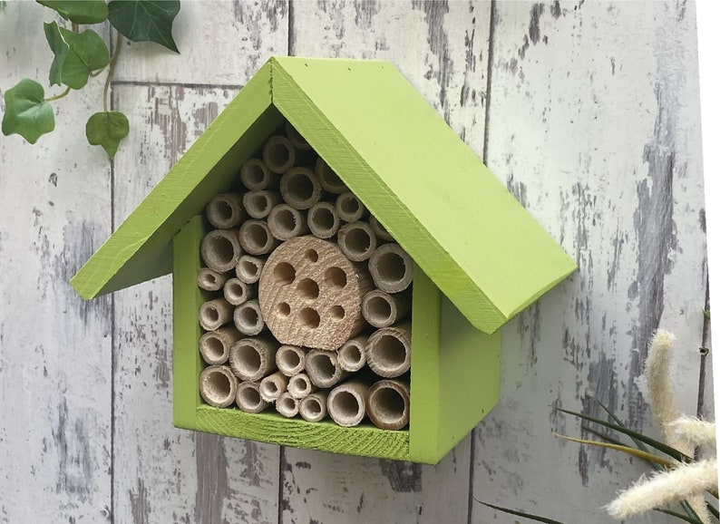 Beautifully handmade single tier wildlife habitat, Bee Hotel, Insect House. Timber and painted in Sunny Lime.
Keyhole hanger provided.
Bamboo and drilled holes provide a perfect home for solitary bees.