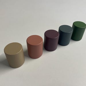 Puede incluir: Cinco pequeños objetos cilíndricos de madera en fila, cada uno pintado de un color diferente. Los colores son, de izquierda a derecha, beige, coral, morado oscuro, verde azulado y verde bosque. Los objetos están espaciados uniformemente y tienen una parte superior plana.