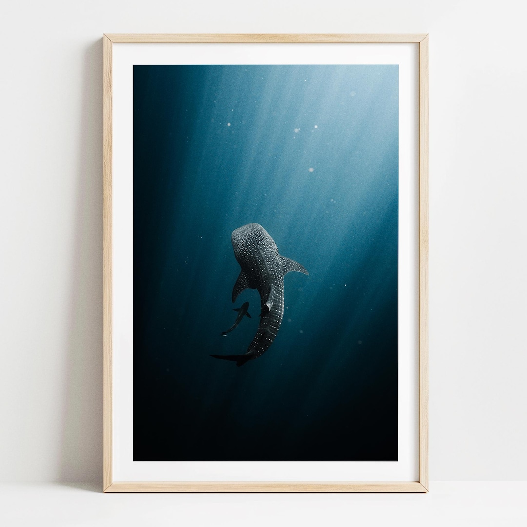 Whale Shark Wall Art Print, Coastal Beach House Decor, Ocean ...