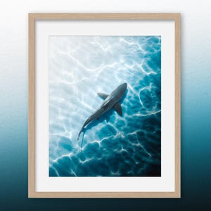 Apex Purity – Stampa artistica da parete con squalo, fotografia aerea dell'oceano, foto di uno squalo balena in bronzo, decorazioni costiere, opere d'arte minimaliste sulla vita marina