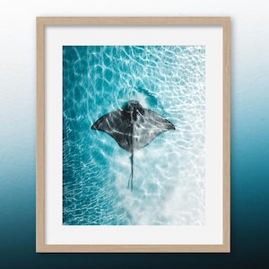 Rayo de Luz – Impresión de arte mural de raya águila, fotografía oceánica, decoración costera, foto aérea de vida marina, arte marino minimalista, foto de raya