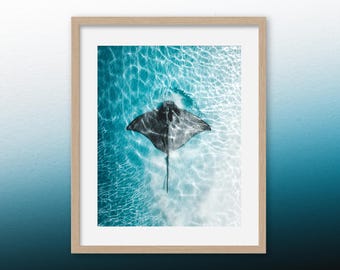 Eagle Ray Aerial Print: Coastal Ocean Photography, Marine Life Art