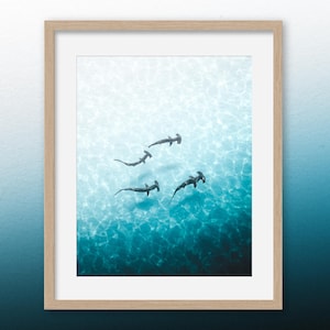 Hammer & Glass – Stampa artistica da parete con squalo, fotografia aerea dell'oceano, foto di squali martello, decorazioni per la vita marina, belle arti costiere