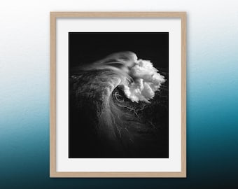 Impresión de olas oceánicas en blanco y negro: arte costero con paisaje marino aéreo
