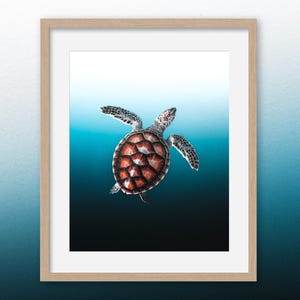 Sea Turtle Print | Marine Life Wall Decor, Ocean Wildlife Photography, Nautical Blue Gradient Art, Coastal Home Decor, Nature Lovers Gift