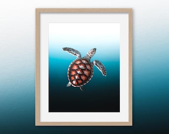 Impresión fotográfica de tortugas marinas: arte mural costero de vida marina