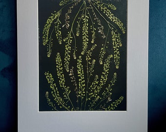 Pressed Botanical Art Print