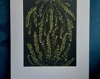May include: A framed botanical print featuring a symmetrical arrangement of delicate green plant stems with small white flowers against a black background.