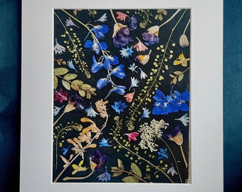 Pressed Wild Flower Art Print