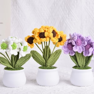 Handmade Crochet Daisy, Crochet Daisy Potted, Crocheted Plant Pot, Knit Flowers, Mother&#39;s day Gift, Birthday Gifts, Gift for Her, Home Decor